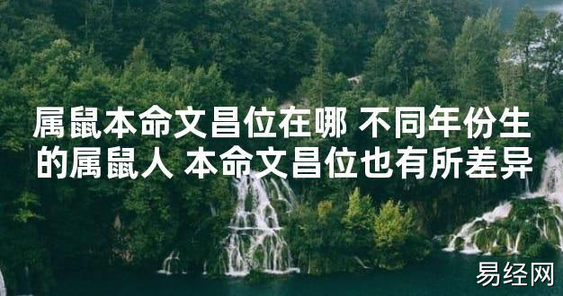 【2024最新风水】属鼠本命文昌位在哪 不同年份生的属鼠人 本命文昌位也有所差异【好运风水】